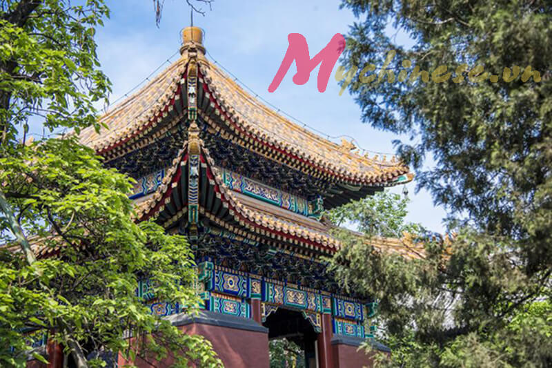 đại học bắc kinh 5