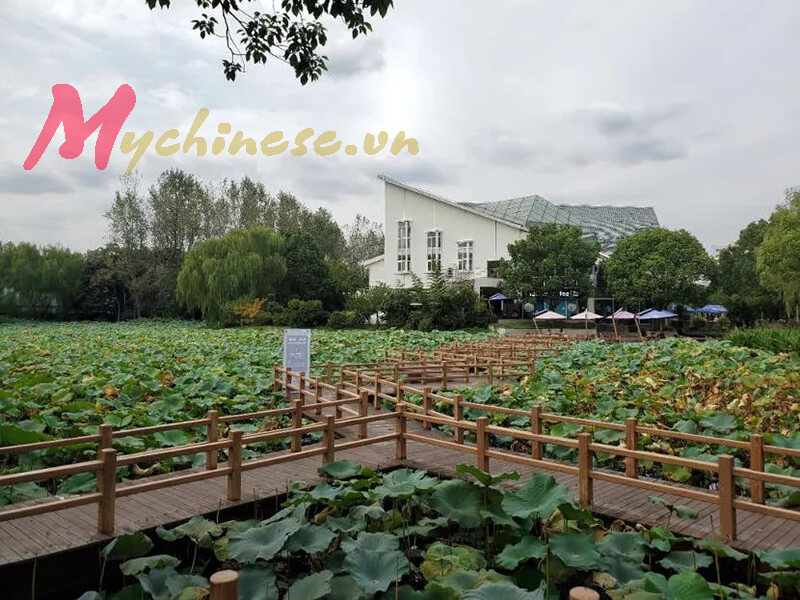 đại học giao thông thượng hải