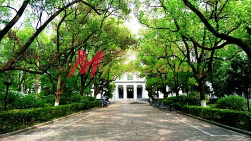 đại học nam kinh 13